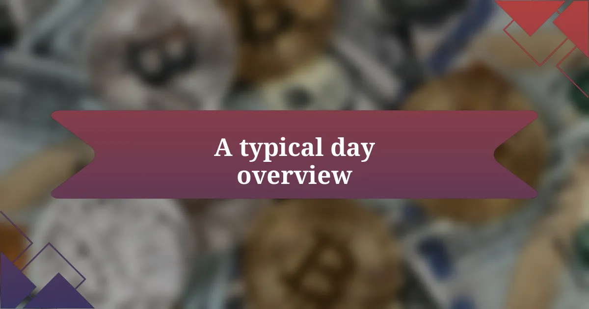 A typical day overview